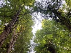 -捞渔河湿地公园