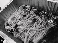 -木屋烧烤(西南角店)