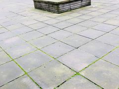 -龙头寺公园