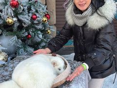 -波塞冬旅游度假区