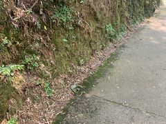 -千泷沟大瀑布旅游区