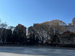 -团结湖公园