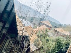 -徂徕山森林康养度假谷温泉