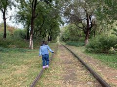 -永定河休闲森林公园