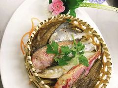 煎五彩鱼-韩山苑·潮州美食·私房菜(天安数码时代大厦店)