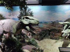 -国家自然博物馆