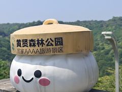 -黄贤森林公园