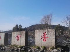 -香雪海