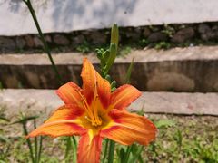 -贵阳市花溪国家城市湿地公园