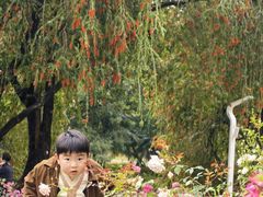 -人民公园(罗湖区)