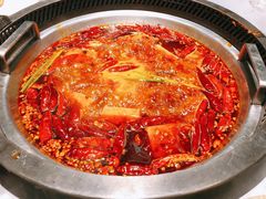 -红辣椒·川菜·火锅(大洋中心店)