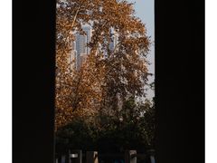 -古德寺