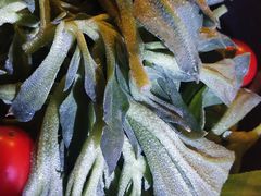 -全聚德(长江路店)