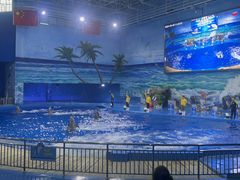 -多彩贵州城极地海洋世界