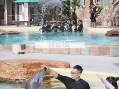 -圣淘沙名胜世界