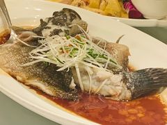 -老洋房花园饭店(绍兴路店)