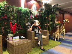 -上海浦东华美达大酒店
