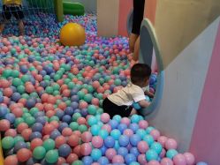 -酷嗒动物文化乐园(cutezoo西溪乐天城店)