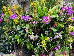 -人民公园(罗湖区)