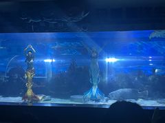 -成都浩海立方海洋公园