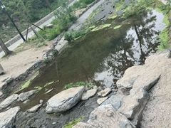 -白水寺森林公园