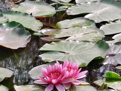 -大兴滨河森林公园