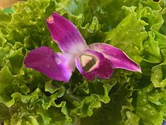 -匠岳·王宝器麻椒鱼(会展中心店)