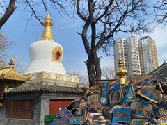 -护国法轮寺