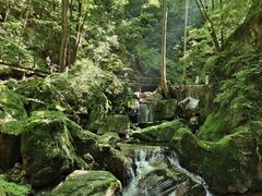-牛背梁国家森林公园