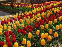 -星巴克(北京惠新东街店)