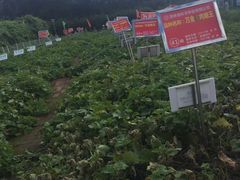 -长春农博园