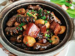 -云中小雅