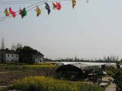 -青浦采草莓天天草莓园