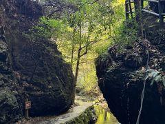 -夏霖九天银瀑风景区