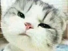 -黑八私房老北京炸酱面