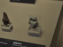 -广西壮族自治区博物馆