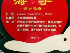 -呀诺达热带雨林