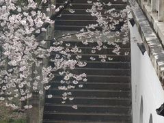 -苏州上方山国家森林公园