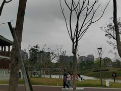 -王借岗森林公园