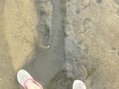 -营口金泰珑悦海景大酒店
