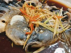 -煲来饱去冷水鱼