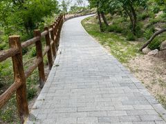 -白水寺森林公园