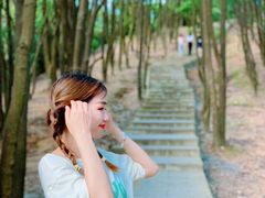 -火炉山森林公园