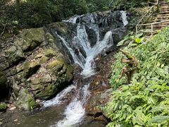 -莫里热带雨林景区
