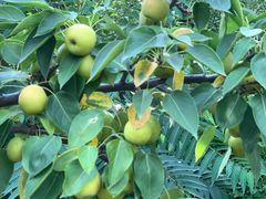 -北镇龙岗子生态园