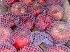 -西郊国际农产品交易中心