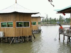 android_upload_pic-海鸥岛