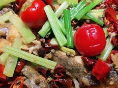 -老板恋上鱼(恒隆广场店)