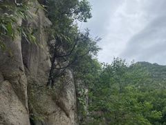 -北京鹫峰国家森林公园