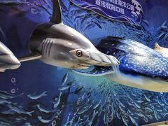 -烟台海昌鲸鲨海洋公园